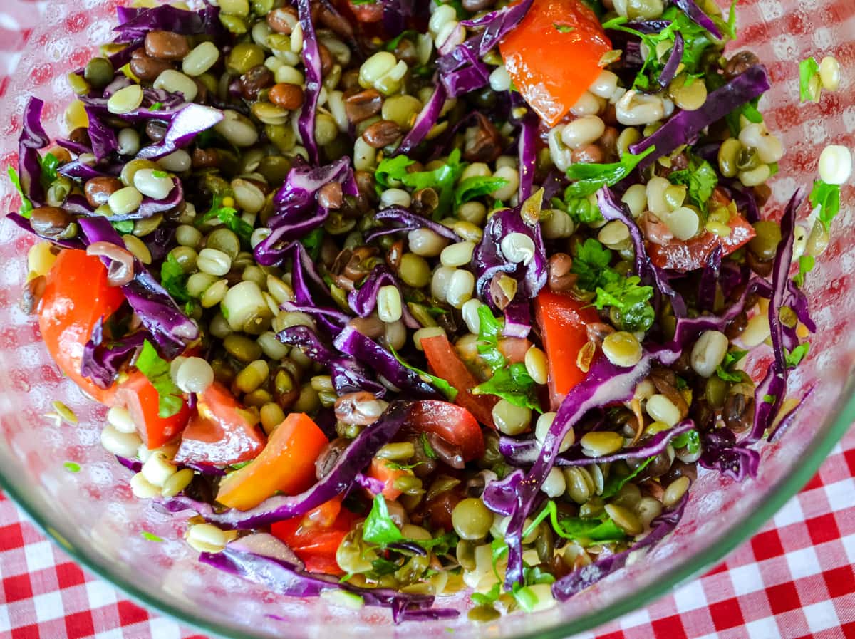 Sprouted Beans Salad
