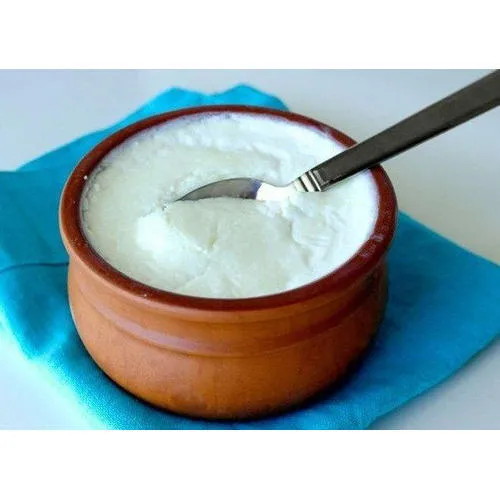 Plain Curd ( Yoghurt )